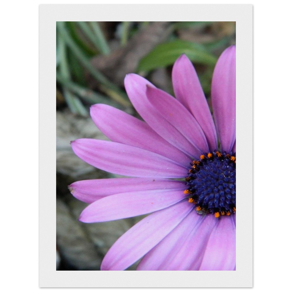 Museum-Quality Matte Paper Wooden Framed Poster