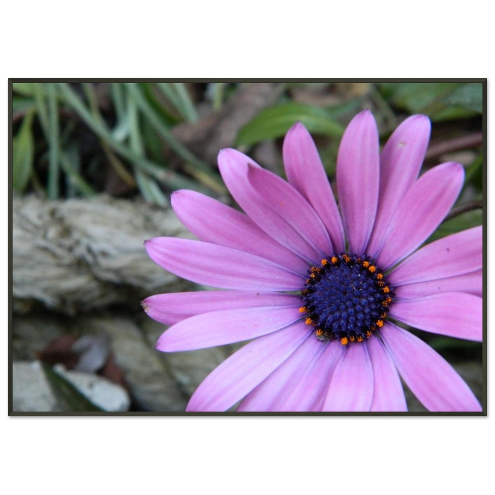 Classic Semi-Glossy Paper Metal Framed Poster