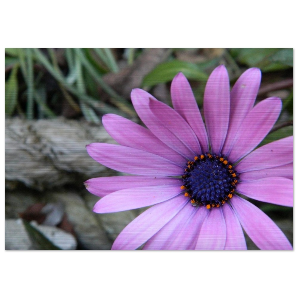 Brushed Aluminum Print