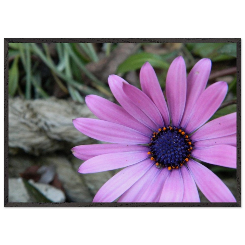 Premium Wooden Framed Poster With Museum-Quality Matte Paper