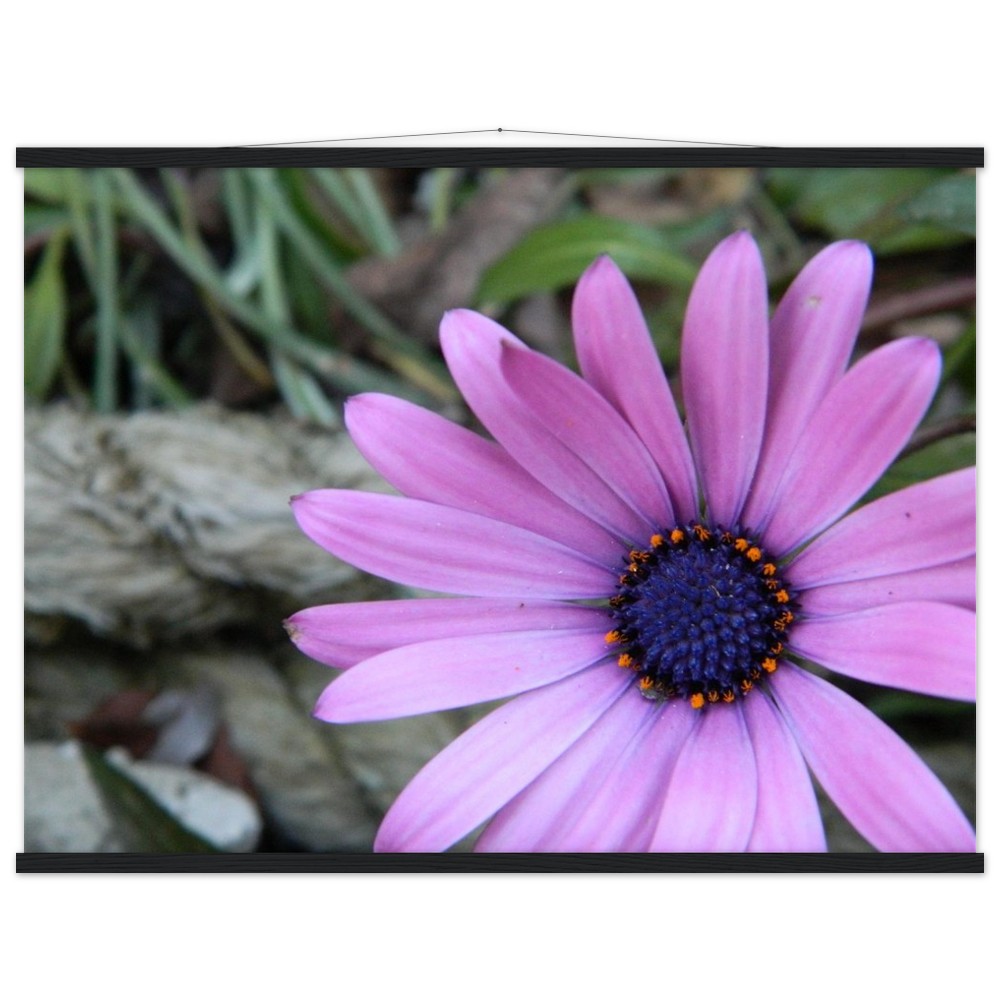 Classic Semi-Glossy Paper Poster with Hanger