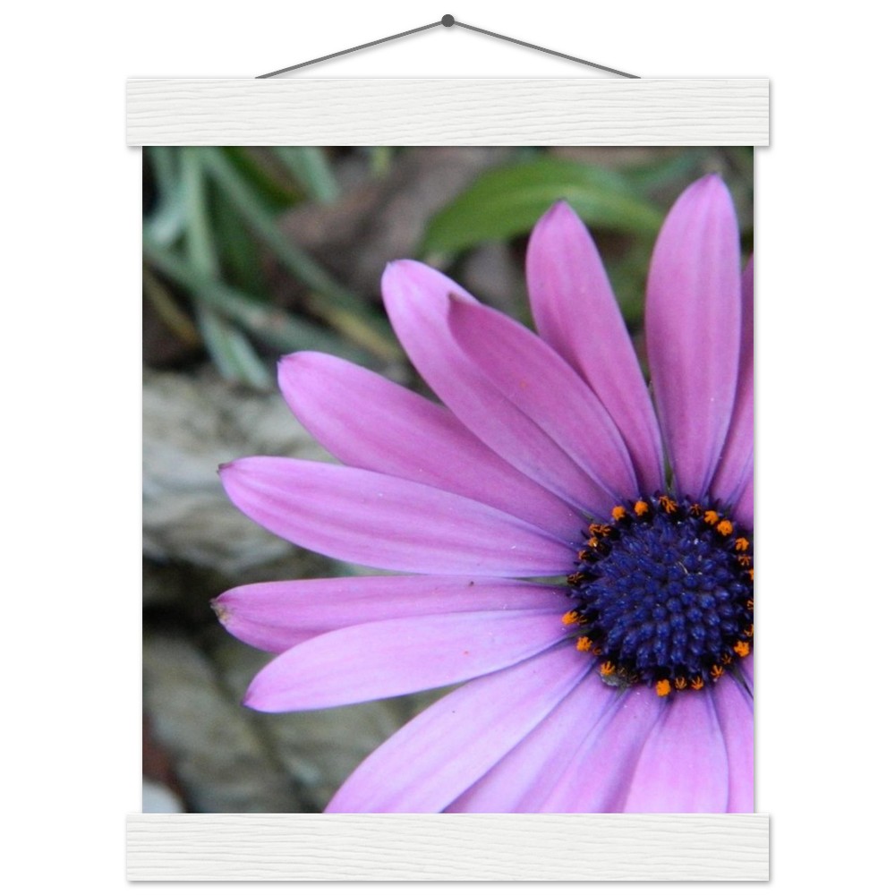 Classic Matte Paper Poster with Hanger