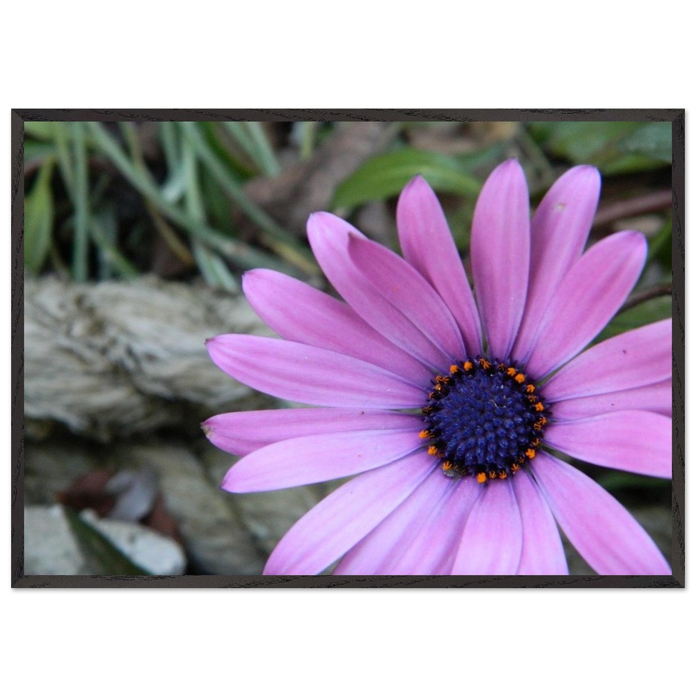 Premium Wooden Framed Poster With Premium Matte Paper