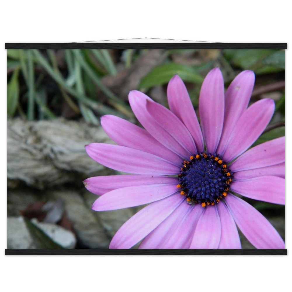 Museum-Quality Matte Paper Poster with Hanger